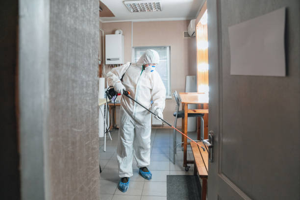 Mold Removal for HVAC Installations in Eleanor, WV